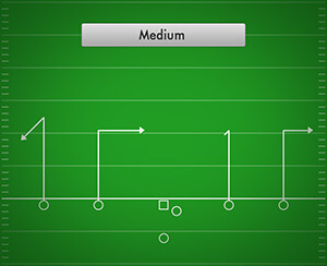 Medium Yardage